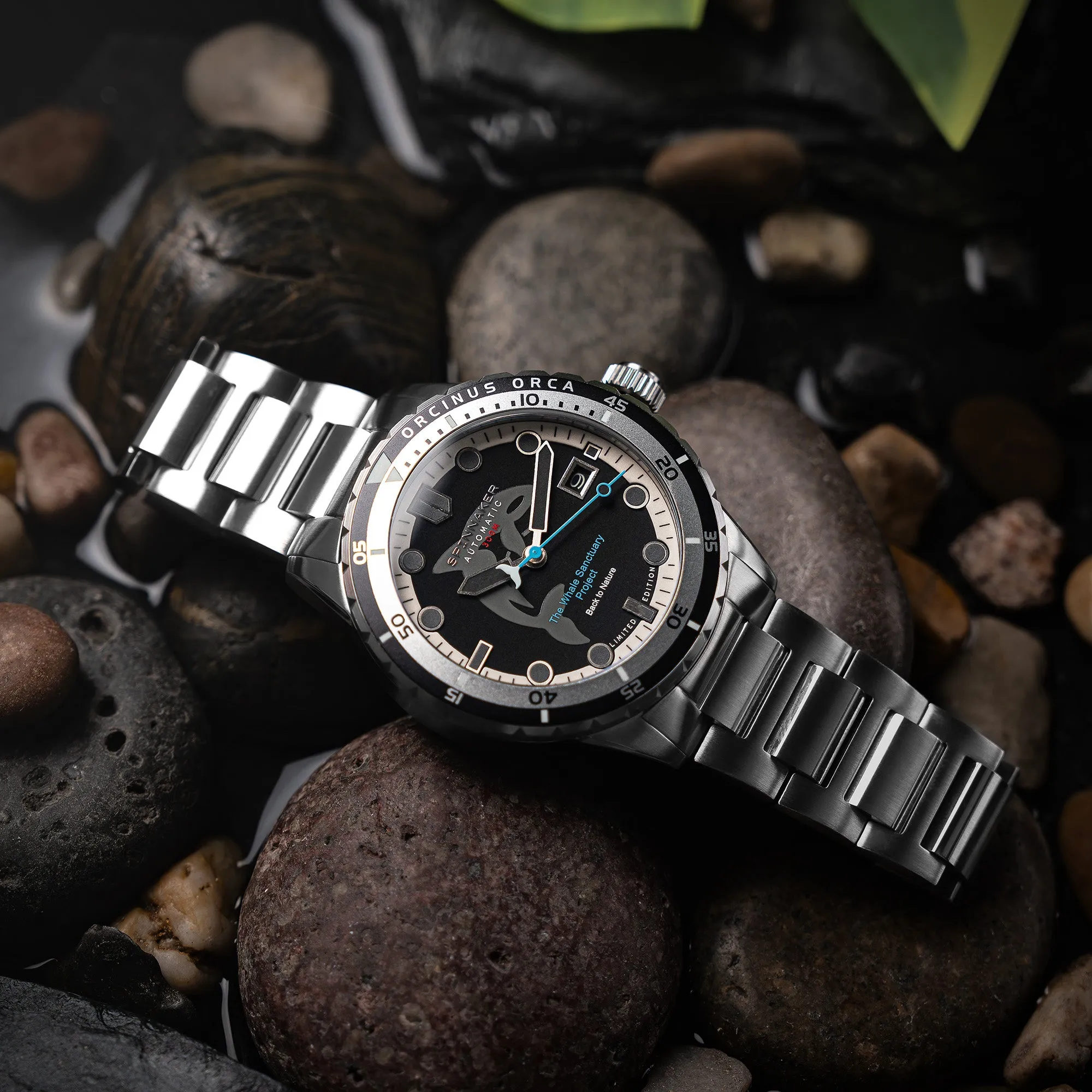 Orca Black