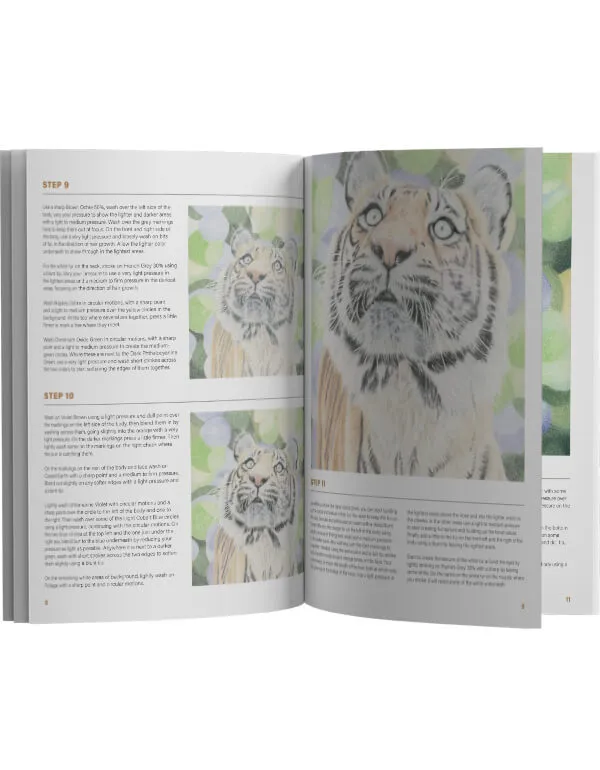 Tessy the Curious Tigress: In-Depth Colored Pencil Tutorial